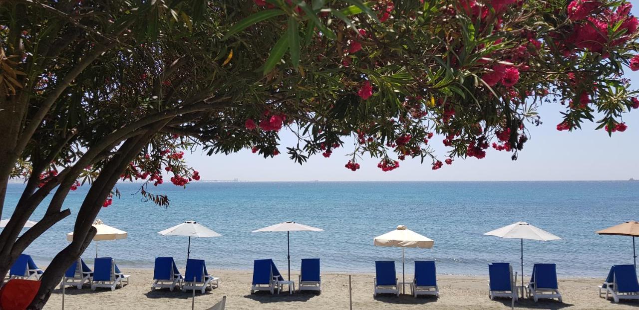 Andreas & Melanie Beach Hotel Governors Beach Exterior foto